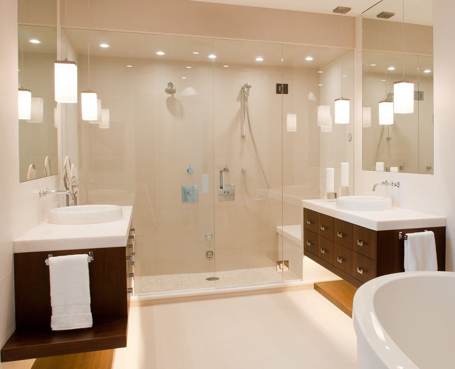 Frameless Shower Door