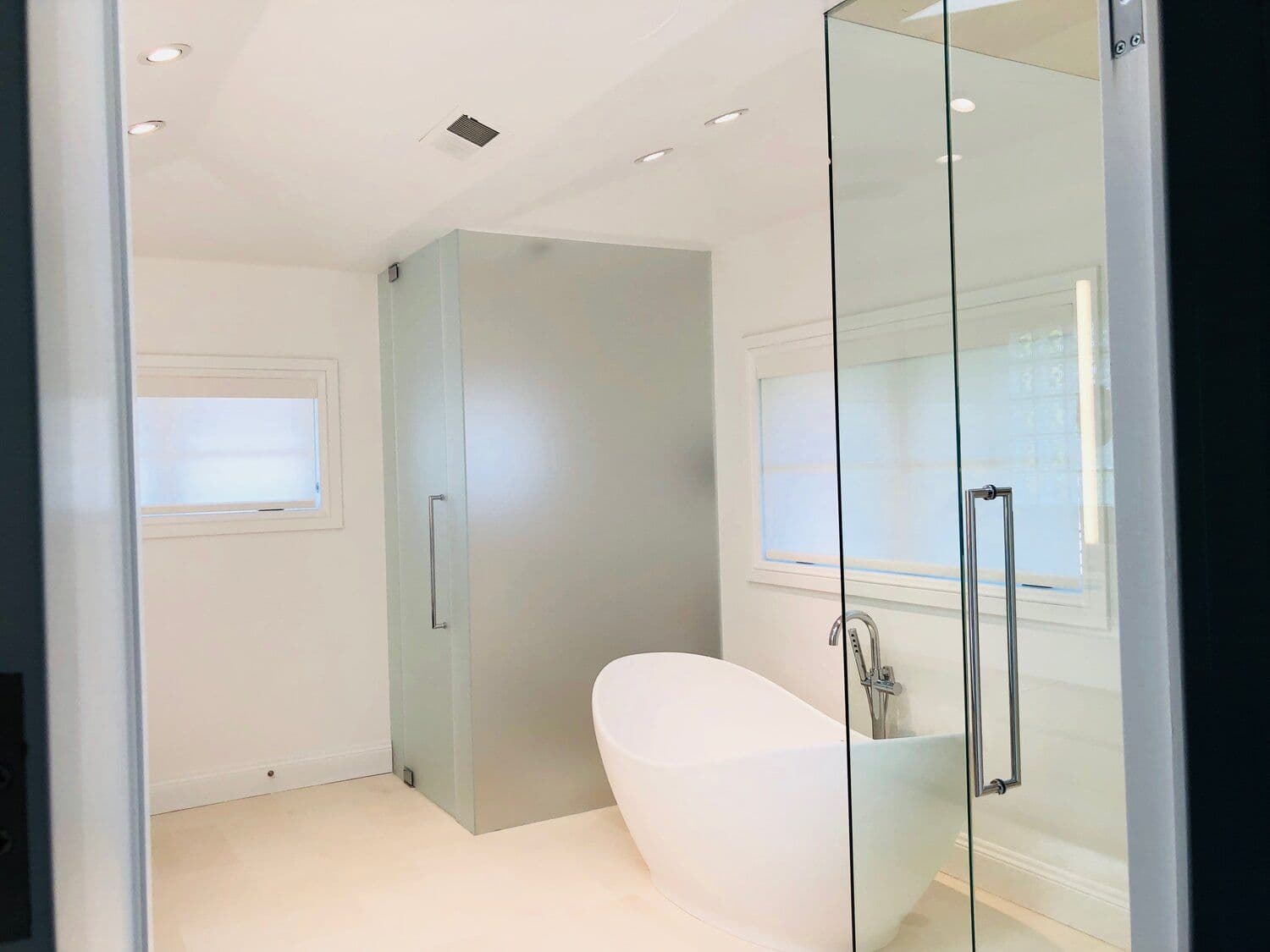 Frameless Shower Door