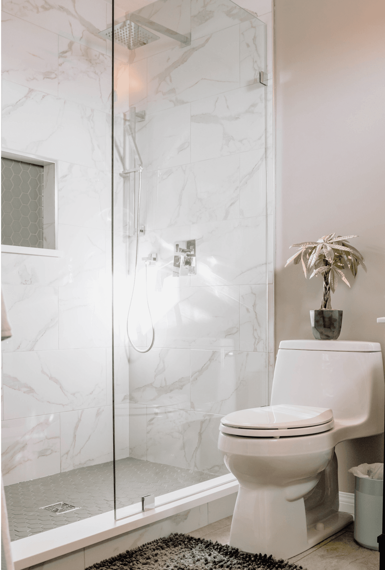 Frameless Shower Doors
